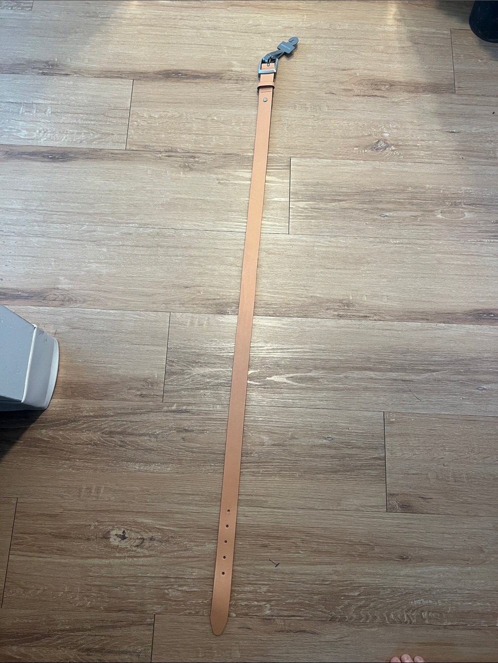 rag & bone Leather Boyfriend Belt, Caramel, Large - Picture 6 of 8